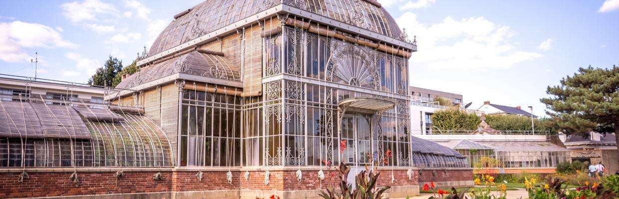 Tropical Walk in the Greenhouses of Paris